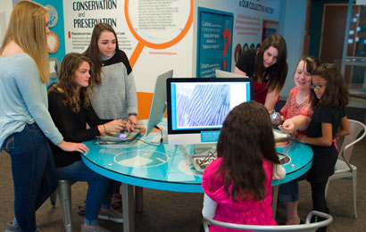 Four teenagers, two little girls and one adult use microscopes to examine paper and cloth specimens. Enlarged images on computer screens.