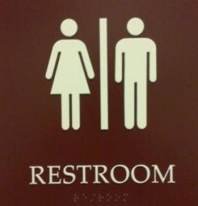 Female figure on left with male figure on right separated by a vertical line. The world Restroom appears below them in both letters and braille.